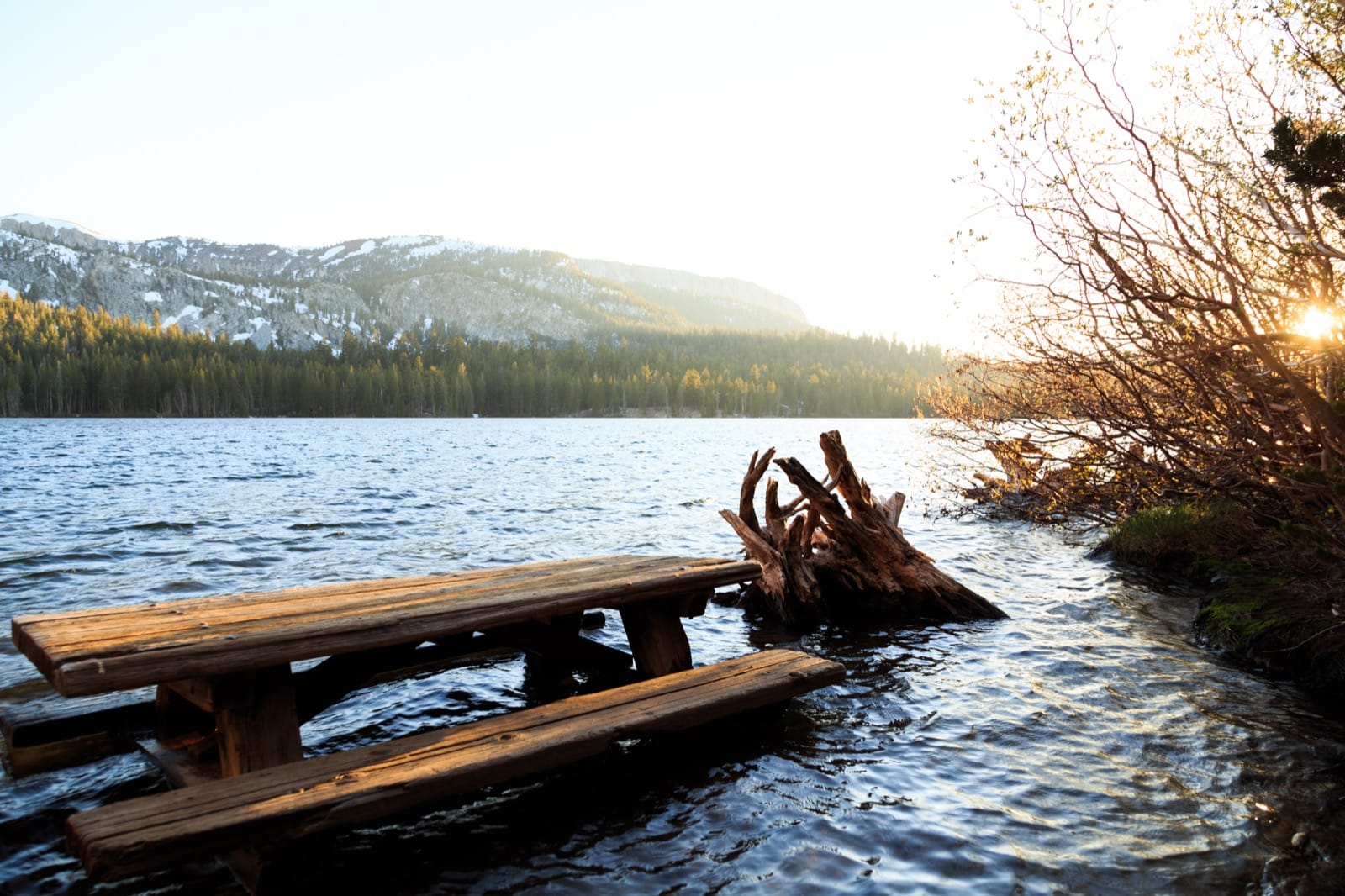 Drowning picnic table