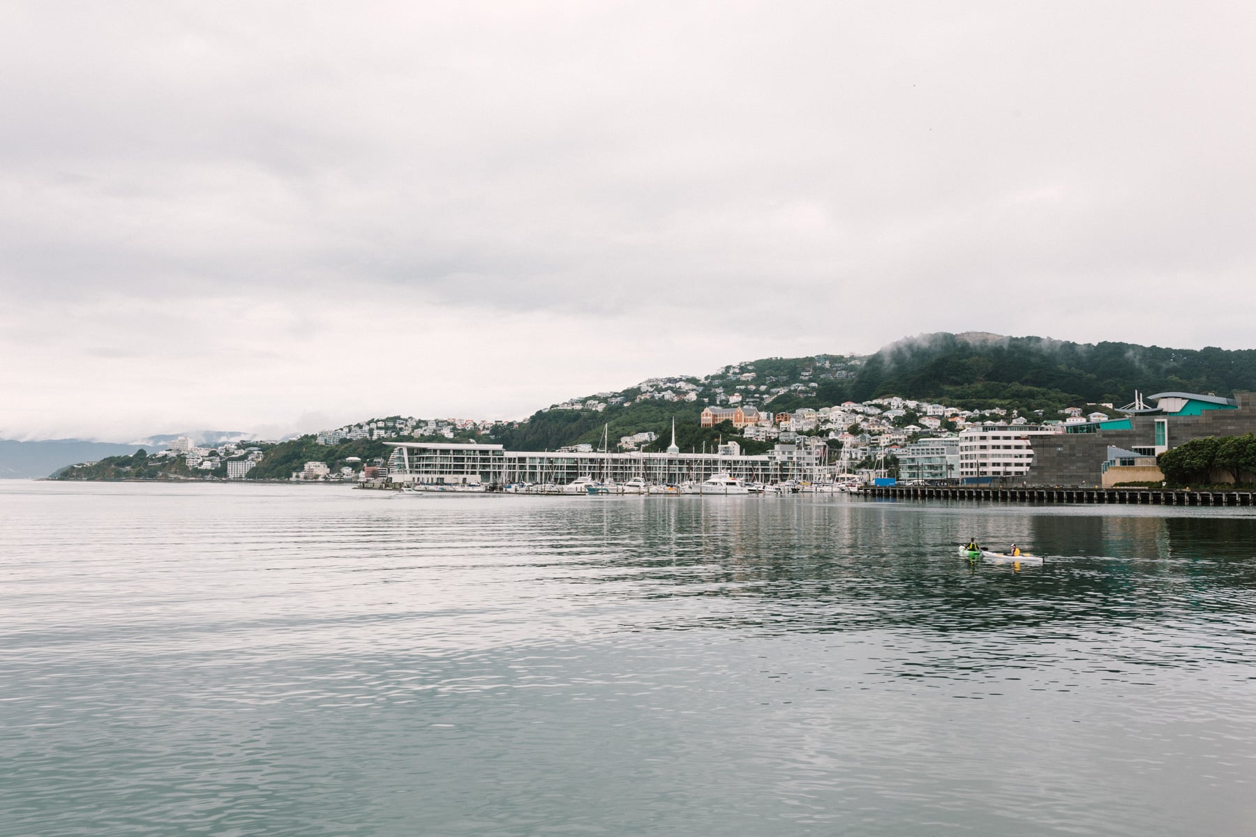 Fod descending in Wellington